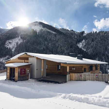 Alpenparks Chalet & Apartment Steve Lodge วีโฮเฟิน ภายนอก รูปภาพ