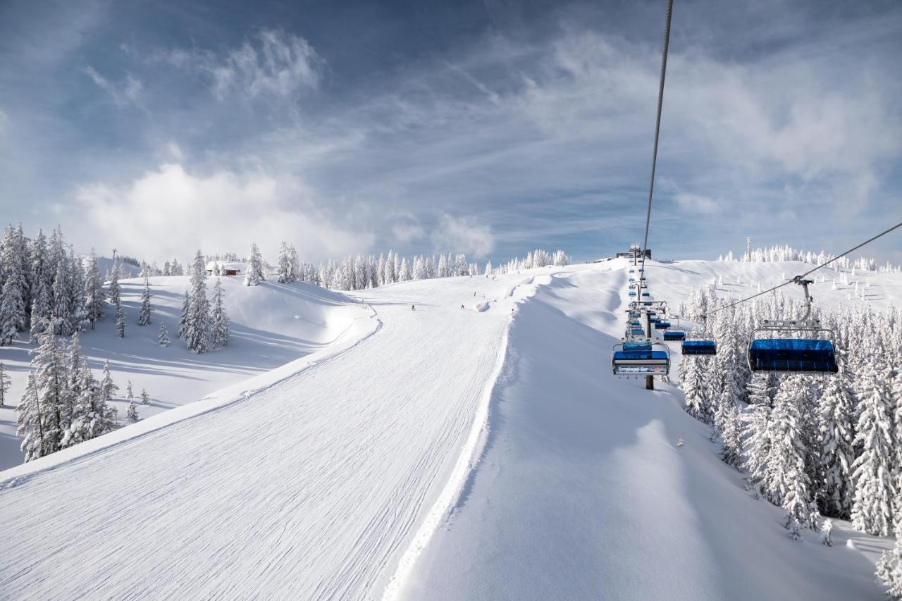 Alpenparks Chalet & Apartment Steve Lodge วีโฮเฟิน ภายนอก รูปภาพ